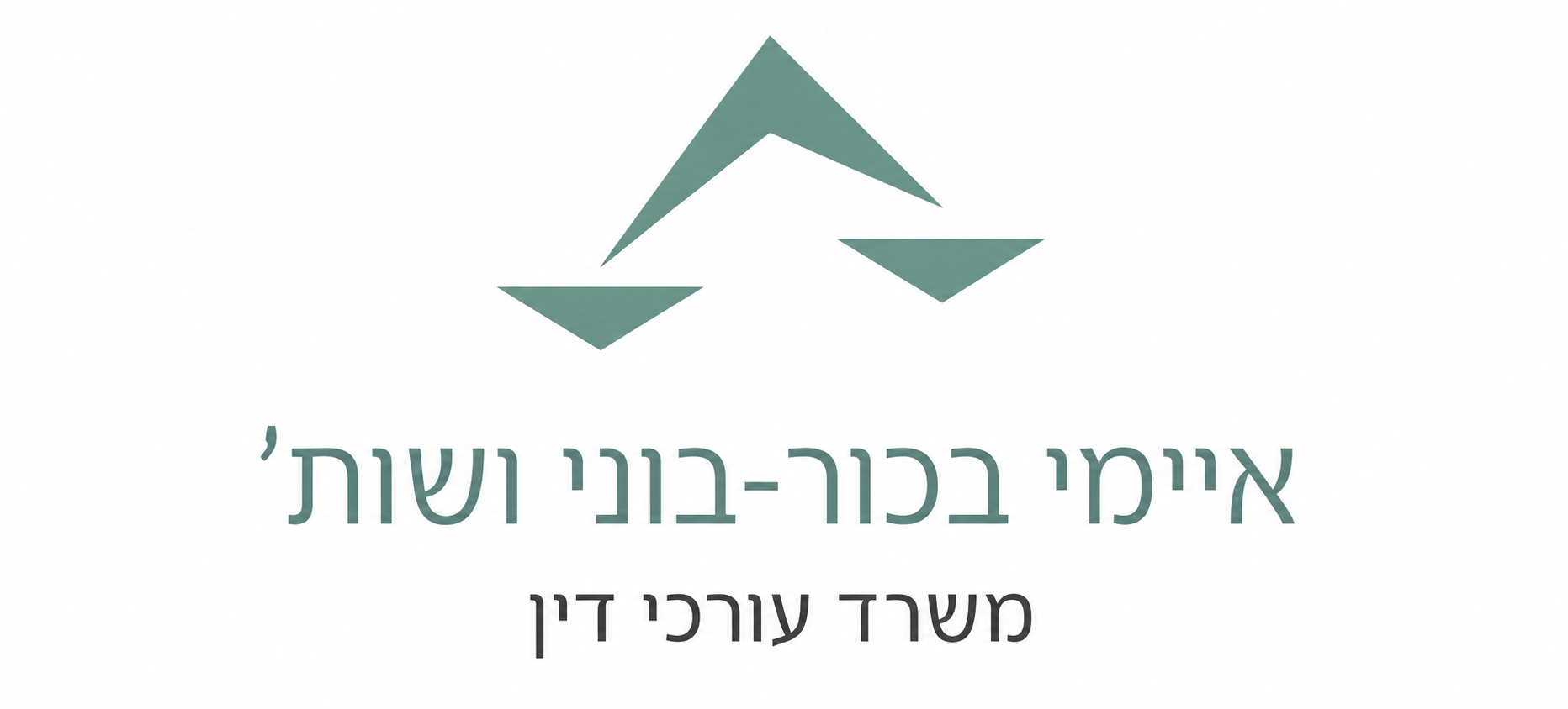 איימי בכור-בוני